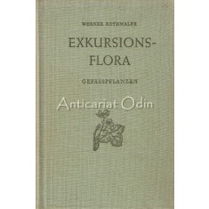 Exkursionsflora Von Deutschland II - Werner Rothmaler