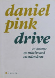 Daniel Pink - Drive (editia 2011)