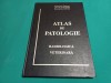 ATALS DE PATOLOGIE RADIOLOGICĂ VETERINARĂ * ALEXANDRU POPESCU / 2000 *59