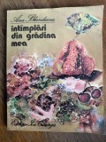 Intamplari in gradina mea - Ana Blandiana , 1980 / R7P2S