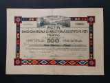 Actiune 1920 banca Fagaras , actie , titlu , institut de credit