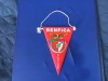 Fanion Benfica Lisabona