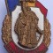 Insigna , veteran din razboiul antifascist