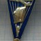 AX 913 INSIGNA-PARASUTIST EXCELENT-URSS-PARASIOTIST OTLISNIK-PENTRU COLECTIONARI