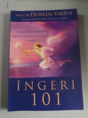 Doreen Virtue - Ingeri 101 foto