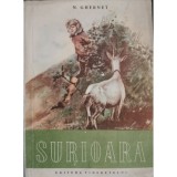 Surioara &ndash; N. Ghernet
