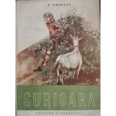 Surioara &amp;ndash; N. Ghernet foto