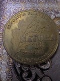 Medalii 2 Timiș Timișoara Satura 1988 Expo Fila