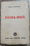 Pauna-Mica - Mihail Sadoveanu