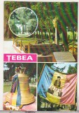 Carte Postala Tebea, Vedere, Neutilizata, Transilvania, Romania dupa 1918, Colectie