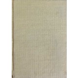 DICTIONAR ROMAN-ENGLEZ, ENGLEZ-ROMAN-IRINA PANOVF-220351