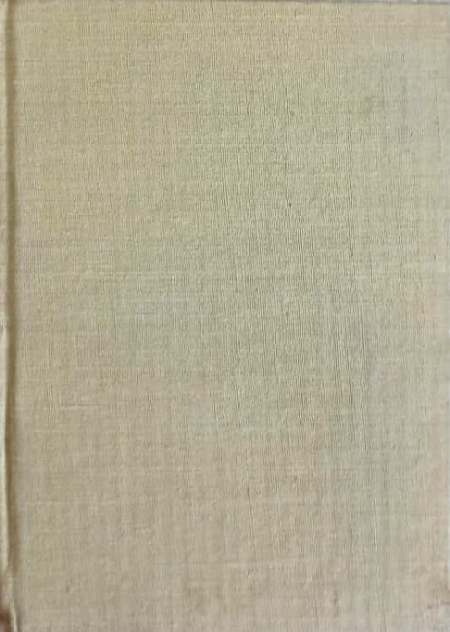 DICTIONAR ROMAN-ENGLEZ, ENGLEZ-ROMAN-IRINA PANOVF-220349