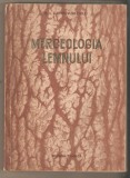 Merceologia Lemnului