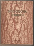 Merceologia Lemnului