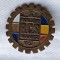 Prima expozitie R.C.S la Bucuresti in anul 1957 Romania &amp; Cehoslovacia insigna