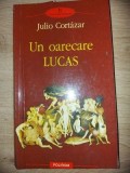 Un oarecare Lucas- Julio Cortazar
