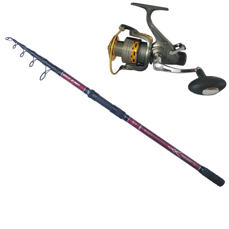 Set lanseta Wild Carp 4 Lbs 3.9 m si mulineta KT5000A, Diamant Alb |  Okazii.ro