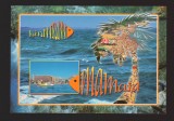 CPIB 21868 - CARTE POSTALA - MAMAIA. LITORALUL MARII NEGRE