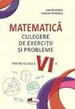 Matematica. Culegere de exercitii si probleme - Clasa 6 - Ioan Pelteacu, Elefterie Petrescu