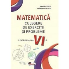 Matematica. Culegere de exercitii si probleme - Clasa 6 - Ioan Pelteacu, Elefterie Petrescu