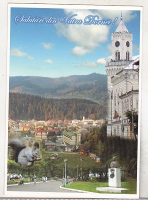 bnk cp Vatra Dornei - Vedere - necirculata foto