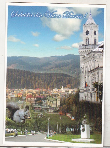 bnk cp Vatra Dornei - Vedere - necirculata