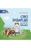 Cinci intamplari din viata lui Sandel - Alexei Vaculovschi