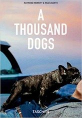 A THOUSAND DOGS - RAYMOND MERRITT (CARTE IN LIMBA ENGLEZA) foto