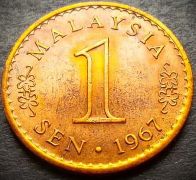 Moneda 1 SEN - MALAEZIA, anul 1967 * cod 3321 A foto