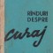Rinduri despre curaj