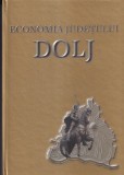 Mihalache Hotaranu Economia Judetului Dolj carte referinta analiza dezvoltare regionala agricultura industrie servicii