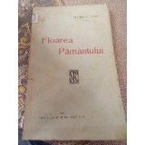 D. Floarea Păm&acirc;ntului, Iași 1920