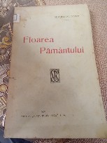 D. Floarea Păm&amp;acirc;ntului, Iași 1920 foto