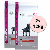 EUKANUBA LABRADOR RETRIEVER - 2 x 12 kg