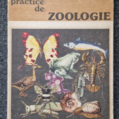 LUCRARI PRACTICE DE ZOOLOGIE - Suciu