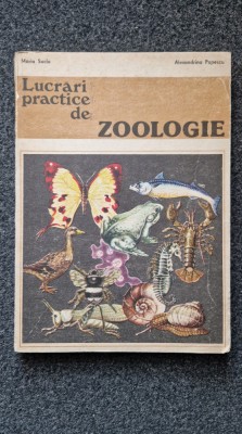 LUCRARI PRACTICE DE ZOOLOGIE - Suciu foto