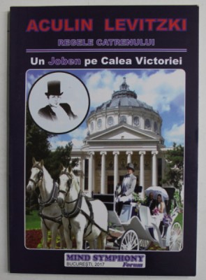 UN JOBEN PE CALEA VICTORIEI - CATRENE ALESE - de ACULIN LEVITZKI , 2017 * DEDICATIE foto