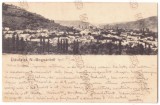 1269 - BOCSA MONTANA, Caras Severin, Panorama - old postcard - used - 1905