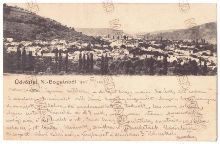 1269 - BOCSA MONTANA, Caras Severin, Panorama - old postcard - used - 1905