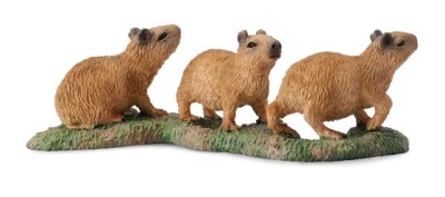 Capibara Pui- Collecta foto