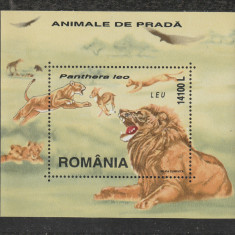 Romania 2000 - #1533 Animale de Prada S/S 1v MNH