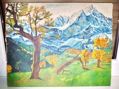 599D-Tablou peisaj de munte stare buna ulei/placaj.