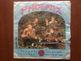 phoenix vremuri canarul lady madonna disc single vinyl muzica rock EDC 10.006 G+