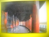 HOPCT 5851 BAMBUS IN JUNSHAN GALERIA LUNGA IN PARCUL BEIHAI - CHINA -ASIA -NECIRCULATA