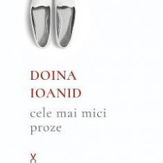 Cele mai mici proze - Doina Ioanid