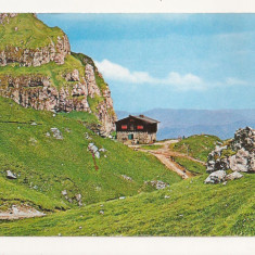 CA11 -Carte Postala- Muntii Bucegi, Cabana Caraiman, necirculata 1976