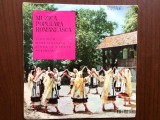 muzica populara romaneasca victor predescu ionel budisteanu disc single vinyl muzica folclor EPC 439 VG+