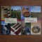 Phylis Austin, Agatha Thrash, Calvin Thrash - Remedii naturale 2 volume