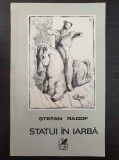 STATUI IN IARBA - Stefan Radof