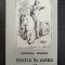 STATUI IN IARBA - Stefan Radof